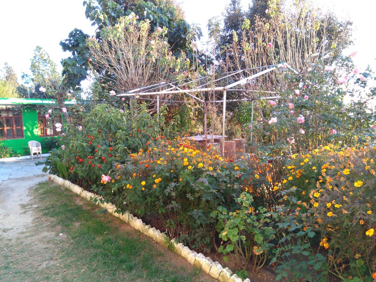 Maa Ananda Mayee Guest House Binsar Exterior photo