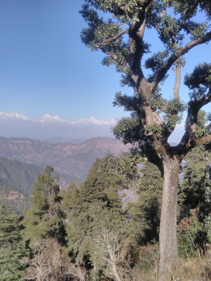 Maa Ananda Mayee Guest House Binsar Exterior photo